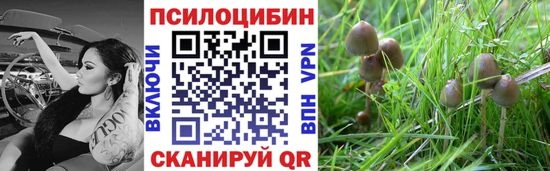 Купить  Козьмодемьянск  Галлюциногенные грибы ЛСД 